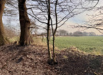 Blick vom Grundstück
