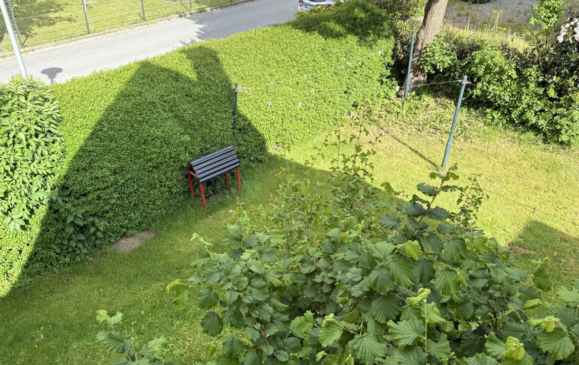 Blick in den Garten