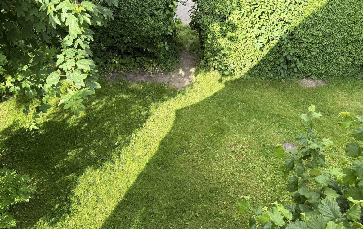 Blick in den Garten