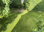 Blick in den Garten