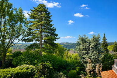 Aussicht Gartenseite