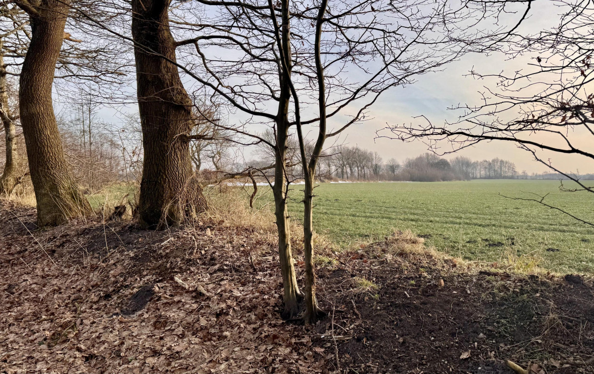 Blick vom Grundstück