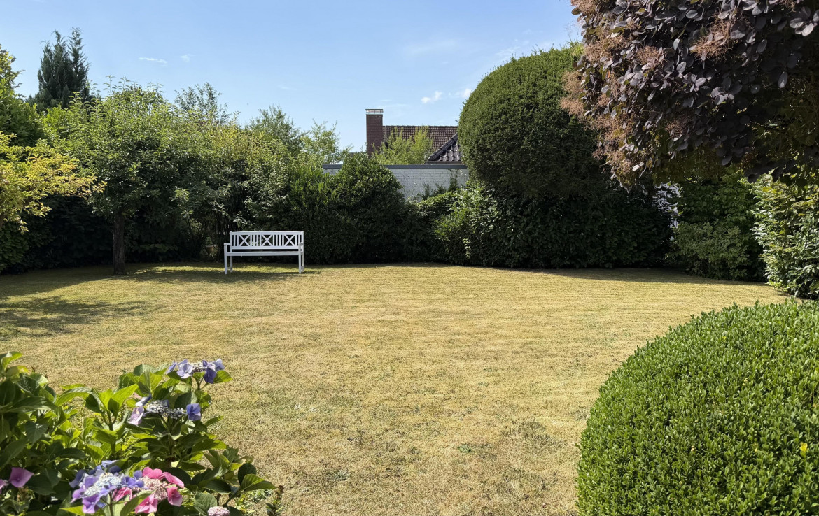 Blick in den Garten