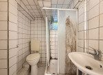 Duschbad im Erdgeschoss nebst WC